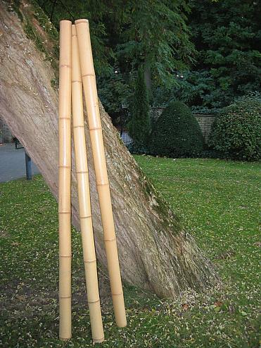 Bambusrohr