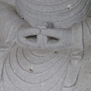 Buddha Typ 105