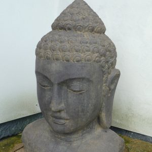 Buddha Kopf