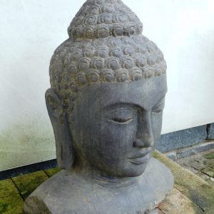 Buddha Kopf