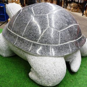 Schildkröte Typ 150