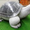 Schildkröte Typ 150