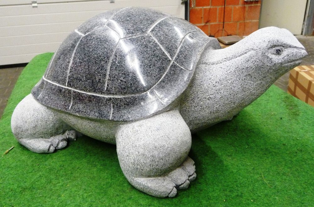 Schildkröte Typ 150