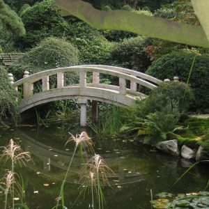 Brücke Typ 71