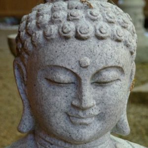 Buddha Typ 103
