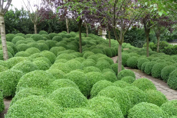 Schaugarten