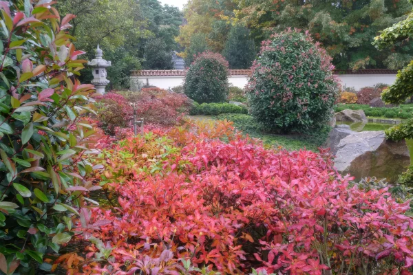 Schaugarten
